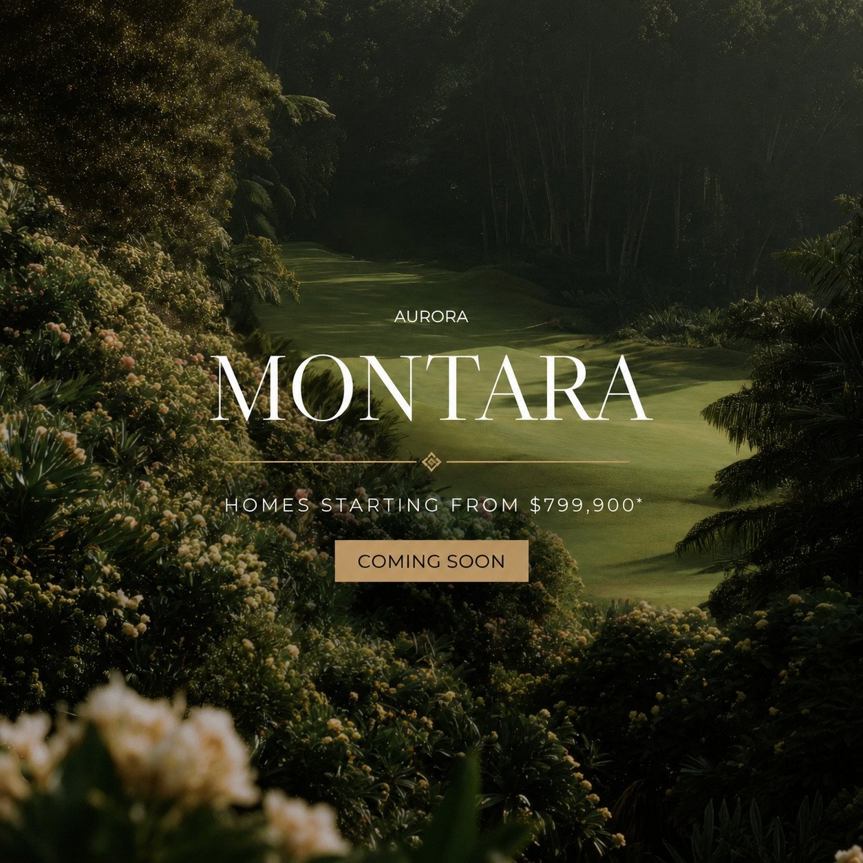 Montara Towns